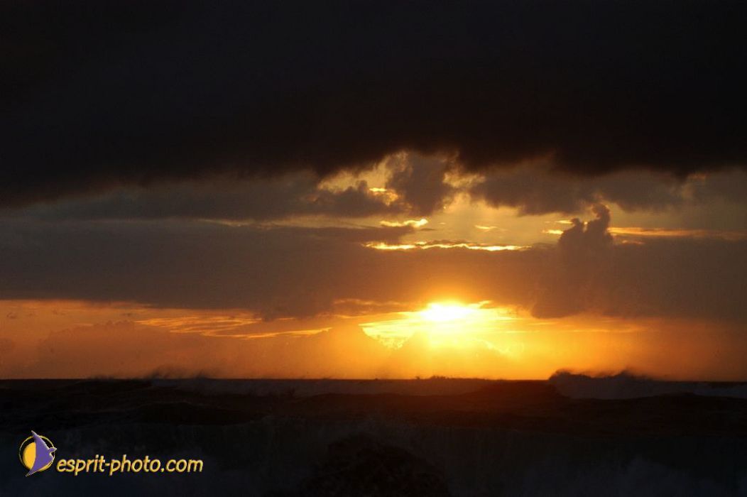 Nom de l'image : EP08-0339_(c)Norbert-JUNG — Description :